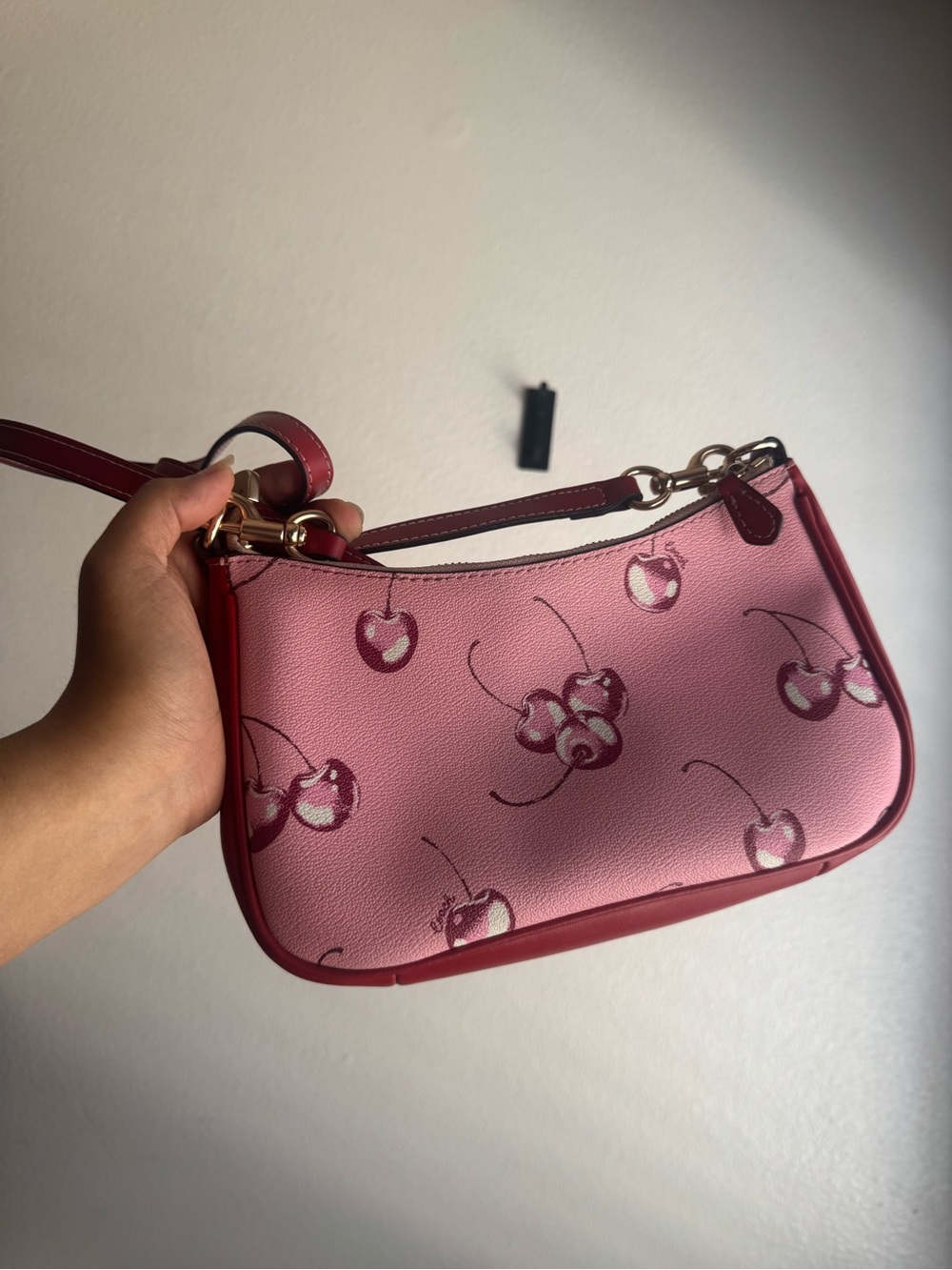Cherry Print Coach Bag - Picture 3 of 7